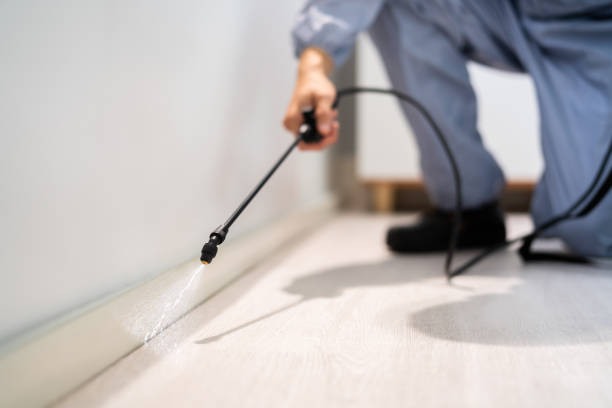 Licensed Termite Control service in Ridgeway, VA - Nex Pest Control