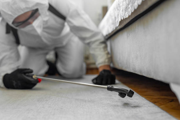 Professional Termite Control technician working in Ridgeway, VA