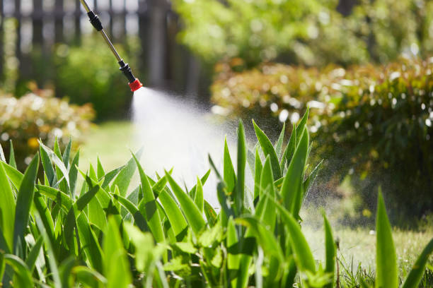 24/7 Emergency Termite Control experts in Ridgeway, VA