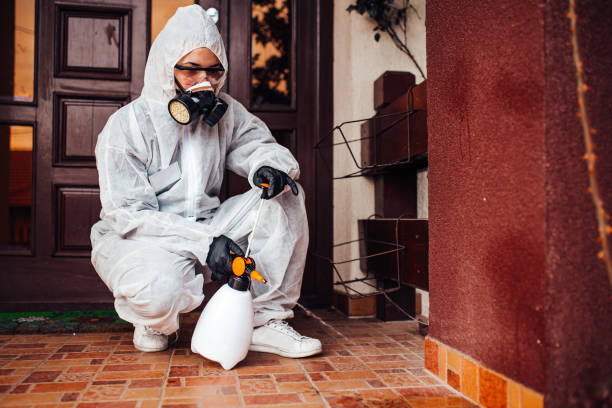 Reliable Termite Control contractor in Ridgeway, VA by Nex Pest Control